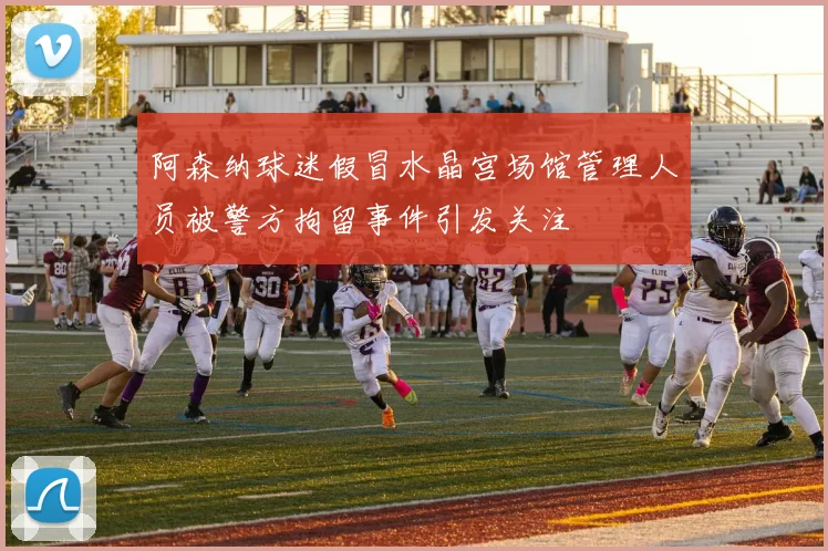 阿森纳球迷假冒水晶宫场馆管理人员被警方拘留事件引发关注